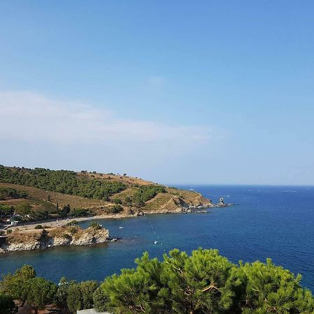 Profitez De La Vue ! Appartement Banyuls-sur-Mer Buitenkant foto